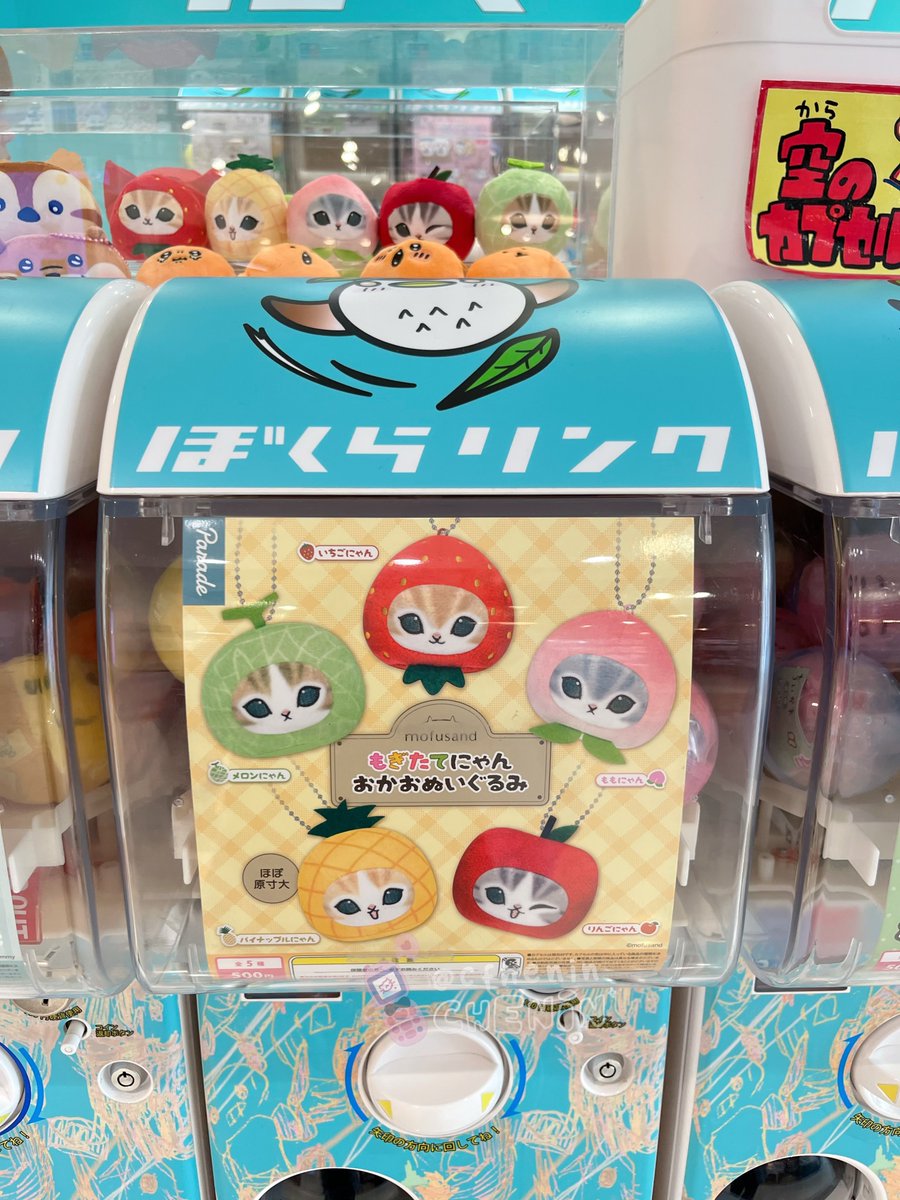cfhenin's tweet photo. hii guys ada yang mau gacha mofusand doll keychain inii? bersih ina 80K ╰(*´︶`*)╯♡

no tax ems! eta ina 25 july by hc 🍎 order DM yaah!! 🍏 https://t.co/SmkExgTnDd