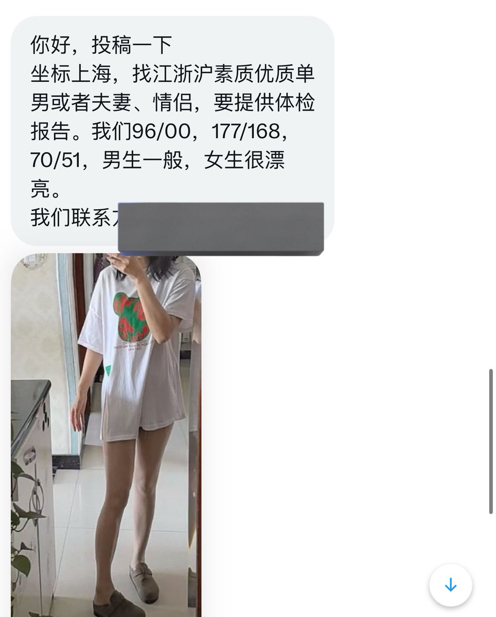 魔都投稿 tweet media