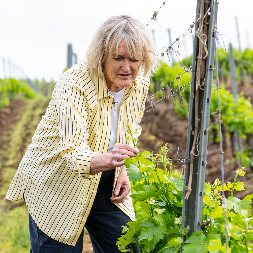 Earlier this year, acclaimed wine and food writer, Fiona Becket, came to visit our winery as part of a press trip. As a leading authority on pairing food with wine, she has created a number of films using our wines which have been perfectly matched with popular dishes.

#wine