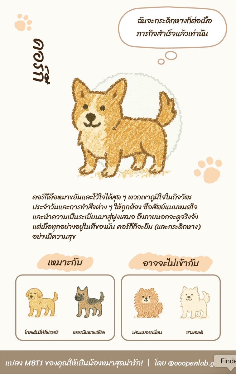 ooopenlabth's tweet photo. 🐶✨ แปลง MBTI เป็นน้องหมา!? บอกเลยว่าน่ารักเกินต้าน 🧡
ฉันลองเล่นแบบทดสอบนี้ แล้วผลออกมาเป็น "คอร์กี้" 🐾
มีแพสชั่นกับงานรักความเรียบร้อยทำอะไรเป๊ะเสมอ แถมยังมียิ้มสดใสให้โลกทุกวัน (แต่ก็ไม่ลืมเห่า!🤣)น่ารักตรงที่ไม่ใช่แค่หมาน่ารักๆ ธรรมดา แต่ทุกตัวมีบุคลิกชัดมาก แบบรู้เลยว่าแต่ละ MBTI เป็นยังไงถ้าเป็นหมา 🐾
ใครยังไม่ลอง รีบไปเล่นเลย!
https://t.co/Jn8HUbsxCR

 #MBTIdog #หมาน้อยในตัวคุณ #คอร์กี้สายเป๊ะ #OOOPENLab
