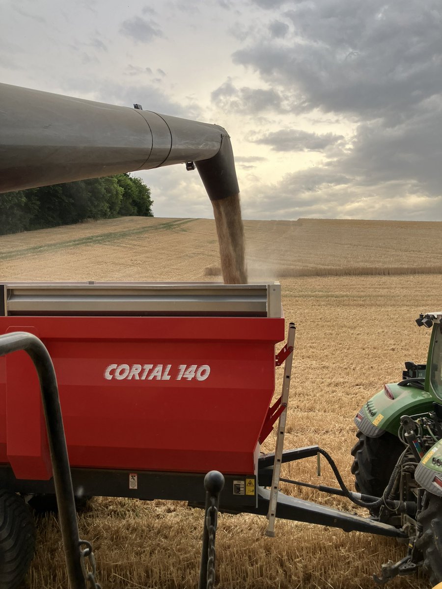 NicolardotS's tweet photo. Avant l’orage ⛈️ passera ou passera pas sur la ferme ?
Résultat ce matin : 5 mm et il reste 1 ha d’orge #kwsFaro 🍺 https://t.co/u55hFjS0Hc