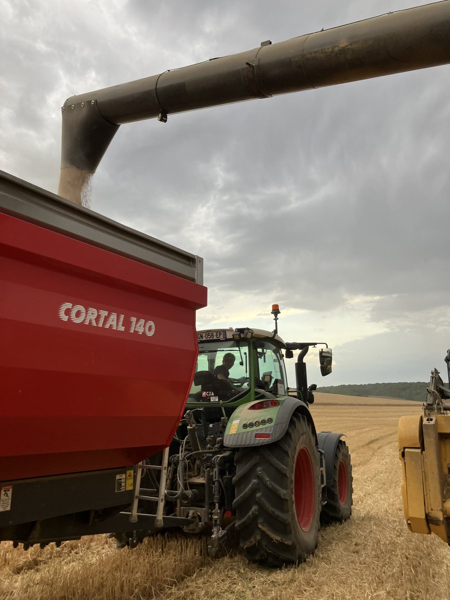 NicolardotS's tweet photo. Avant l’orage ⛈️ passera ou passera pas sur la ferme ?
Résultat ce matin : 5 mm et il reste 1 ha d’orge #kwsFaro 🍺 https://t.co/u55hFjS0Hc