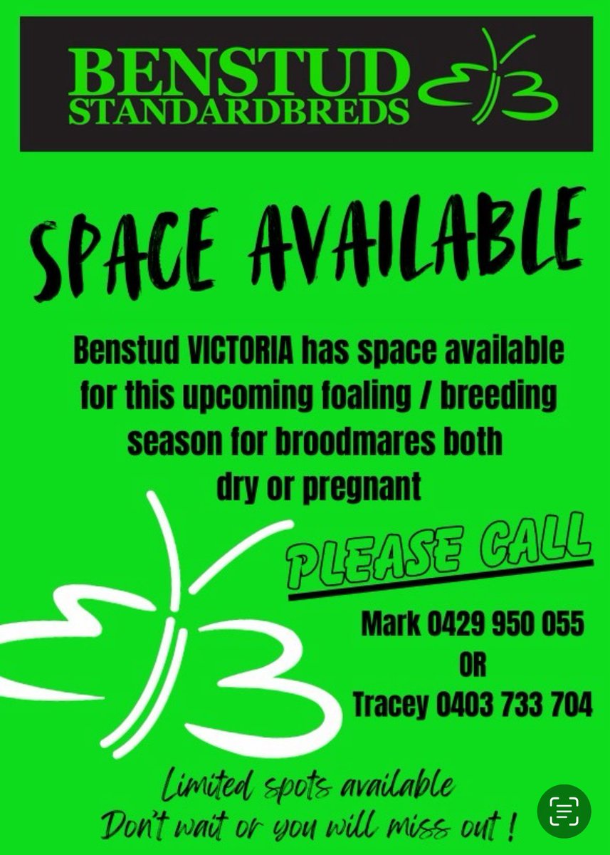 BenstudStandardbreds tweet media