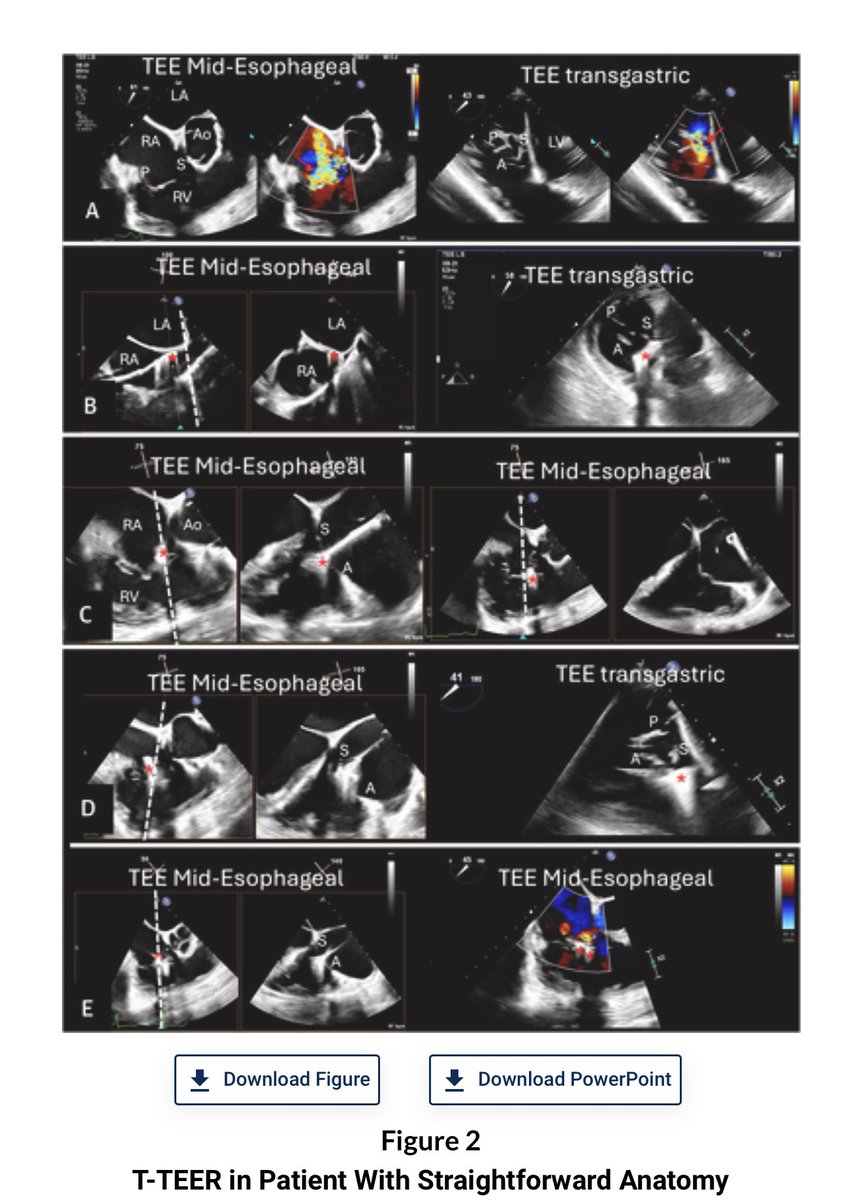 Dr. Gilbert Tang tweet media