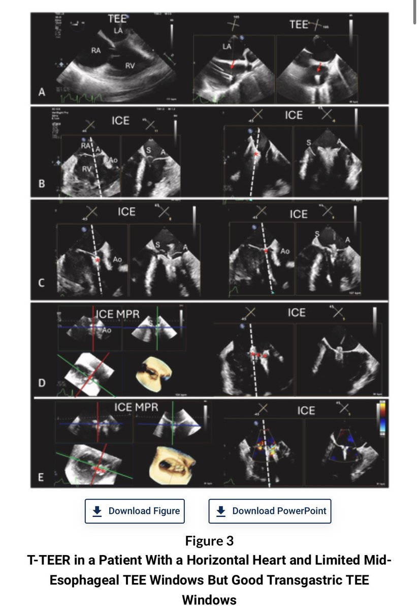 Dr. Gilbert Tang tweet media