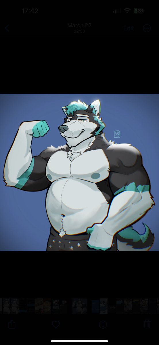 ApolloThe_Husky's tweet photo. @friscodoggo Apollo (plus bf cuddles o.O) https://t.co/Rn92mWHWvc