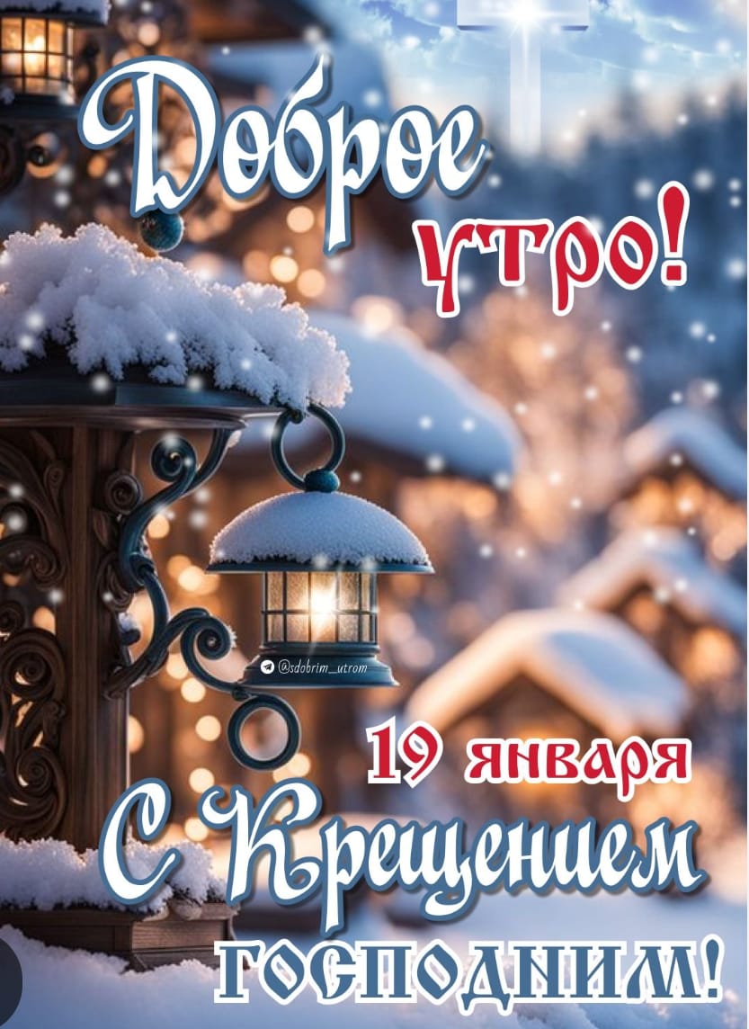 Елизавета (@lithhen_) on Twitter photo 