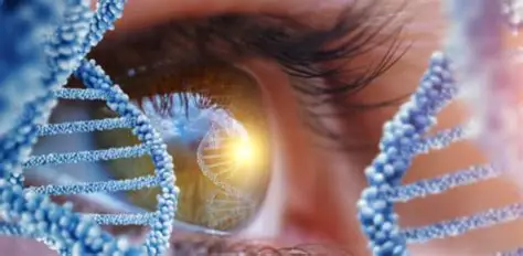 jyves94's tweet photo. ✨#GenSight 🇫🇷 annonce une avancée majeure avec #Catalent 🇫🇷
#GenSightBiologics annonce le transfert réussi de la phase du procédé de fabrication de #LUMEVOQ 🧬, une maladie mitochondriale rare, vers son nouveau partenaire de fabrication Catalent.
https://t.co/iqNWNbv4al https://t.co/12QVH1jLHW