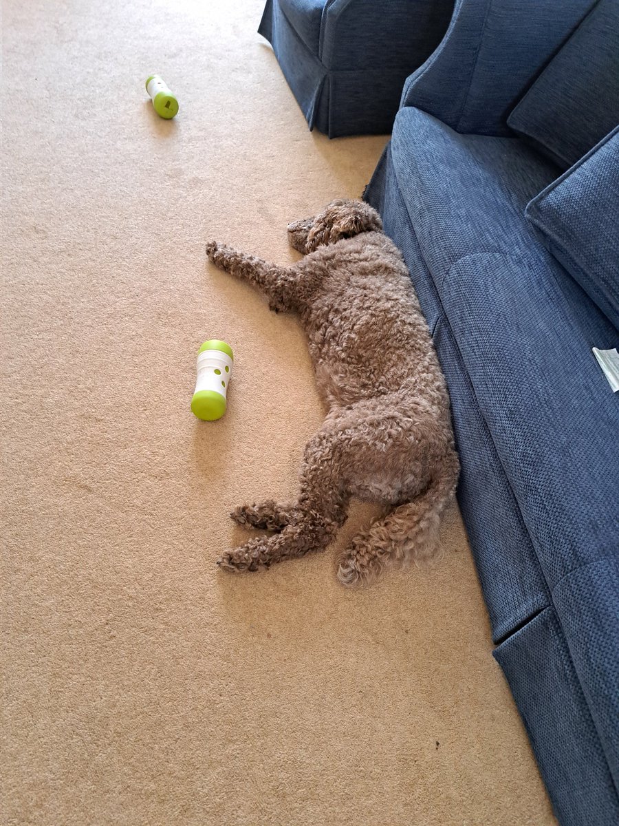 yorkshirejune's tweet image. This treat tube is one of @HearingDogs Ambassador Pasha&apos;s  favourite toys.Keeps him active both physically and mentally and has treats inside .He loves to play with it 
Hearingdogs.org.uk