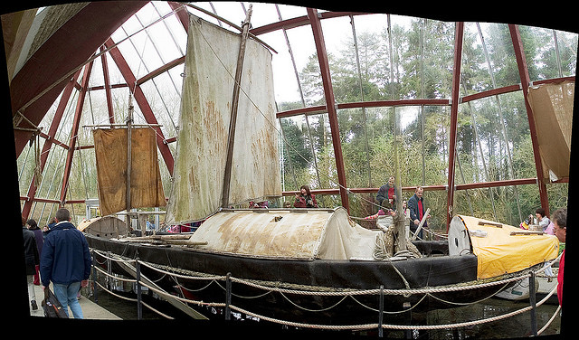 Irish History Bitesize! tweet media