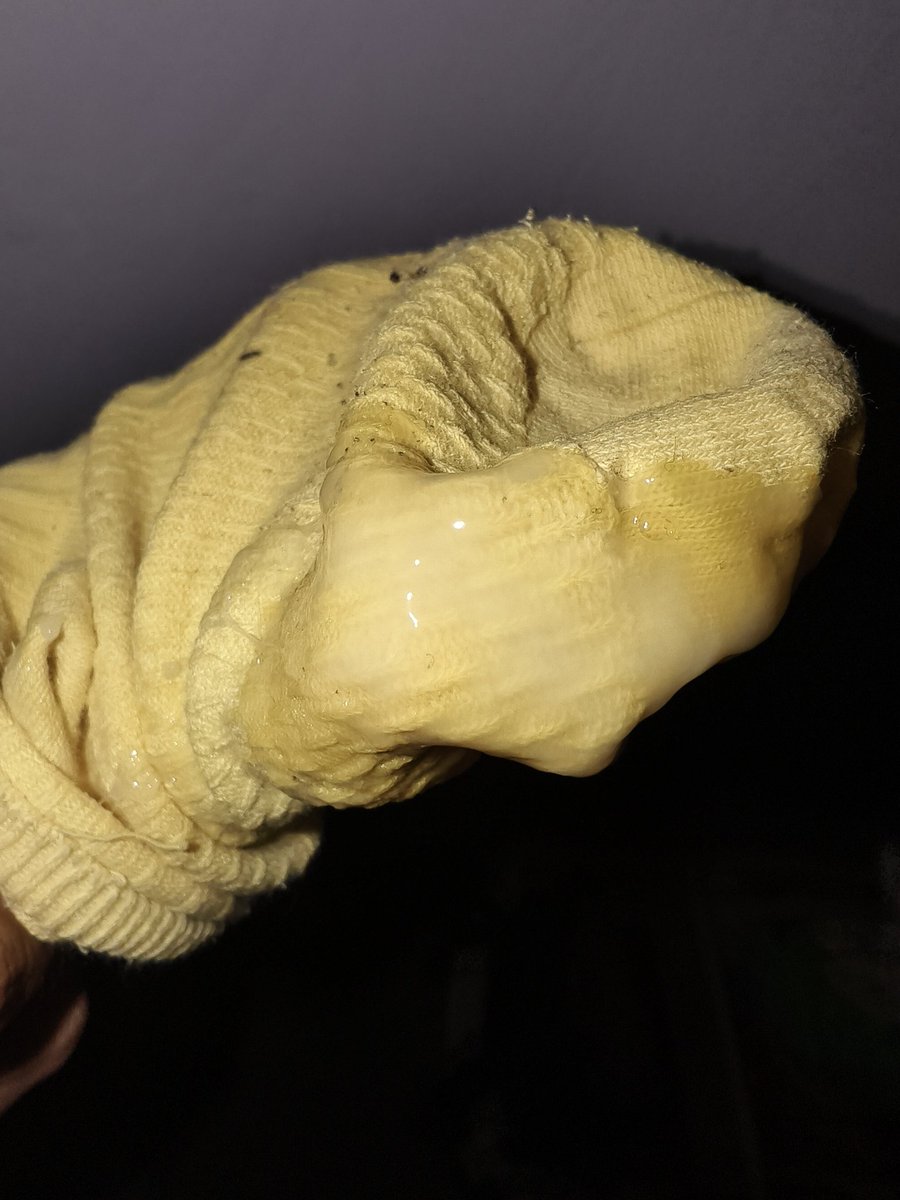 在门口听到一家三口在屋里说话，而我在楼道里玩她的袜子，突然女主打开门带着孩子在楼道里找玩具，而我和她们隔着一面墙，听着她们的聊天，玩弄着她的袜子，狠狠內射在里面
#扫楼 #袜子 #白袜