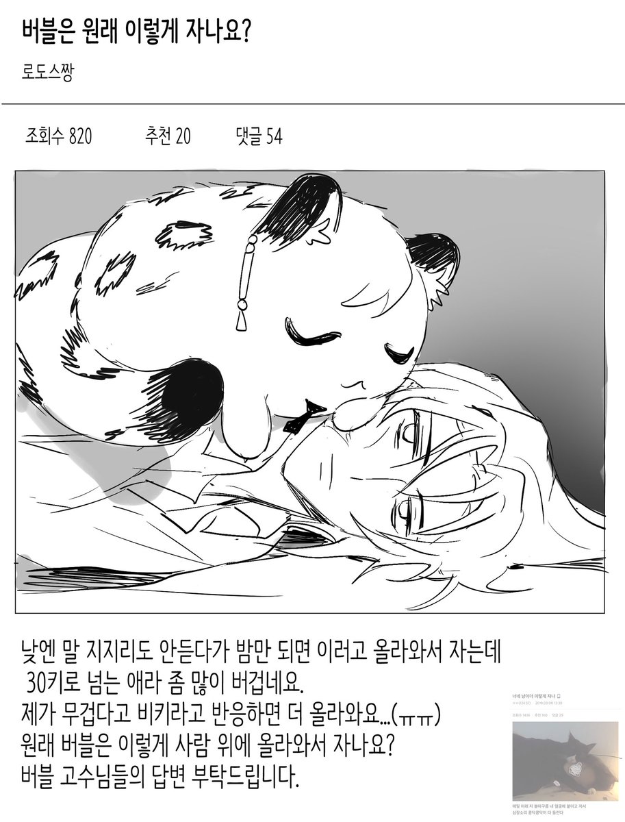 메바 tweet media