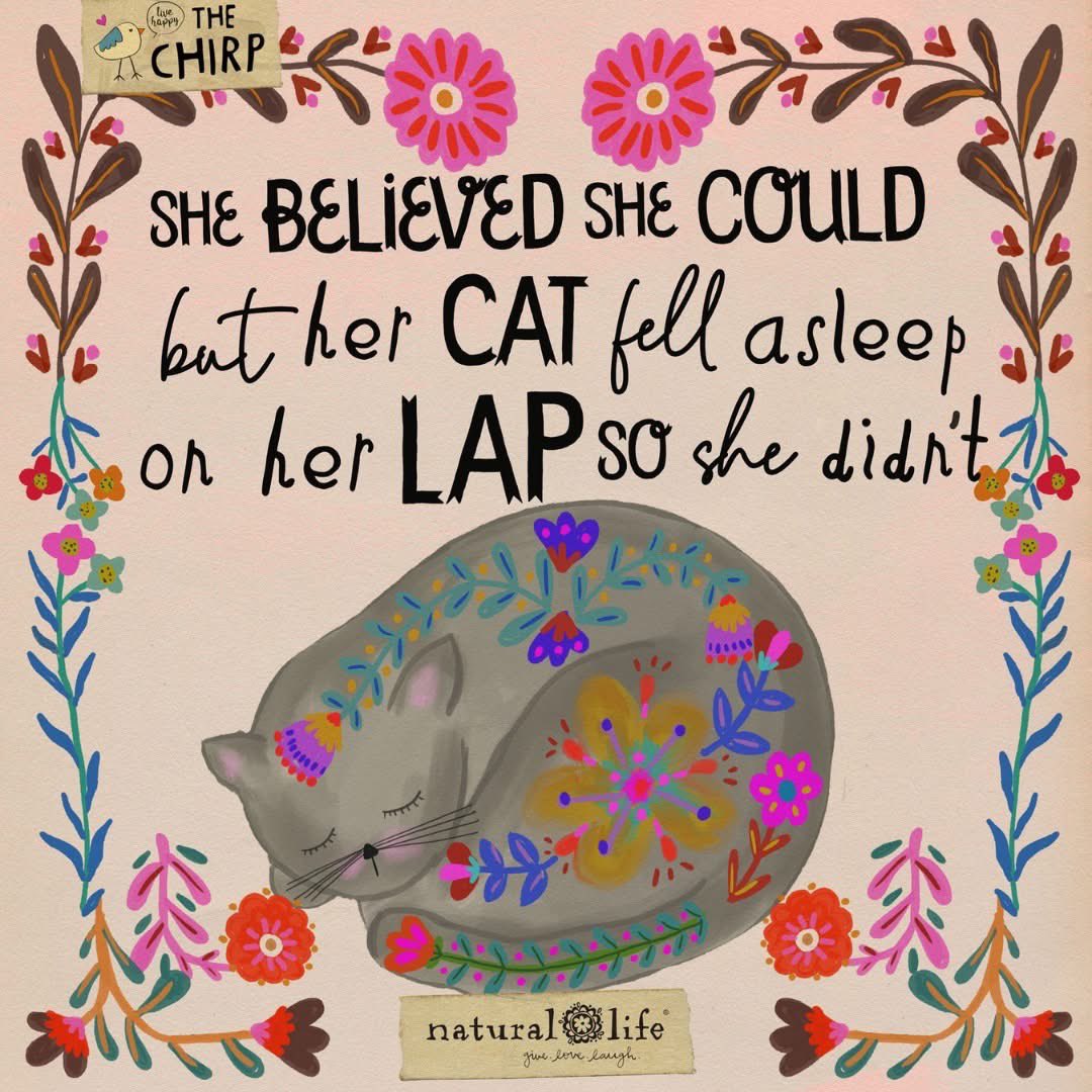 SweetAmy614's tweet photo. Happy #Purrsday, my purrfect #Wordle family! Kudos on all of your pawsome wins! Wishing you a pawtastic day! Sending you tons of love, hugs, and good luck! ❤️🤗🍀😻

#Cats 
#CatLover
#LapCats
#Thursday
#GoodMorning

#Wordle1468 1,468 3/6

⬜⬜🟨⬜🟨
⬜🟨⬜🟩🟩
🟩🟩🟩🟩🟩 https://t.co/JFI4dUy7vG