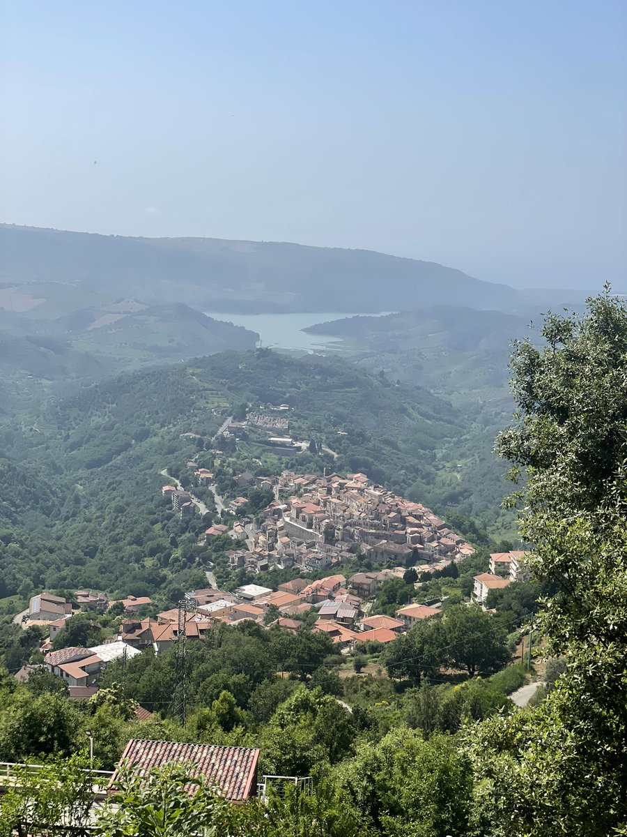 Nensi Coseani tweet media