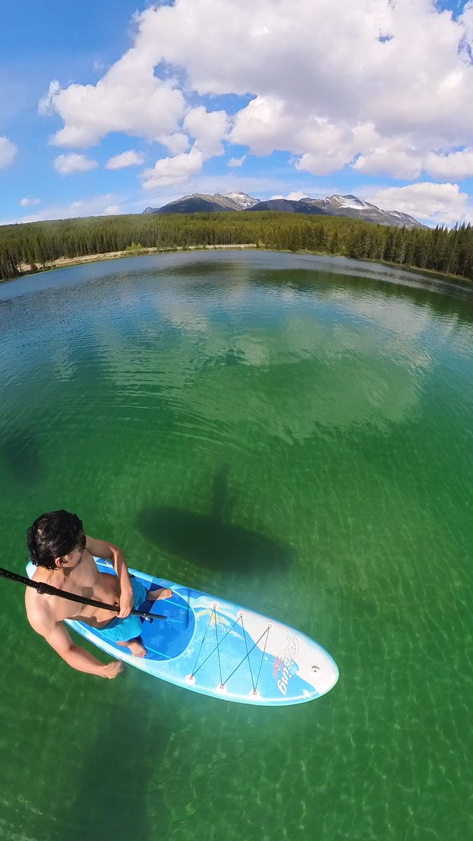 lazyJQ's tweet image. 想活得自由自在其实很简单
不做情欲和物欲的奴隶就好