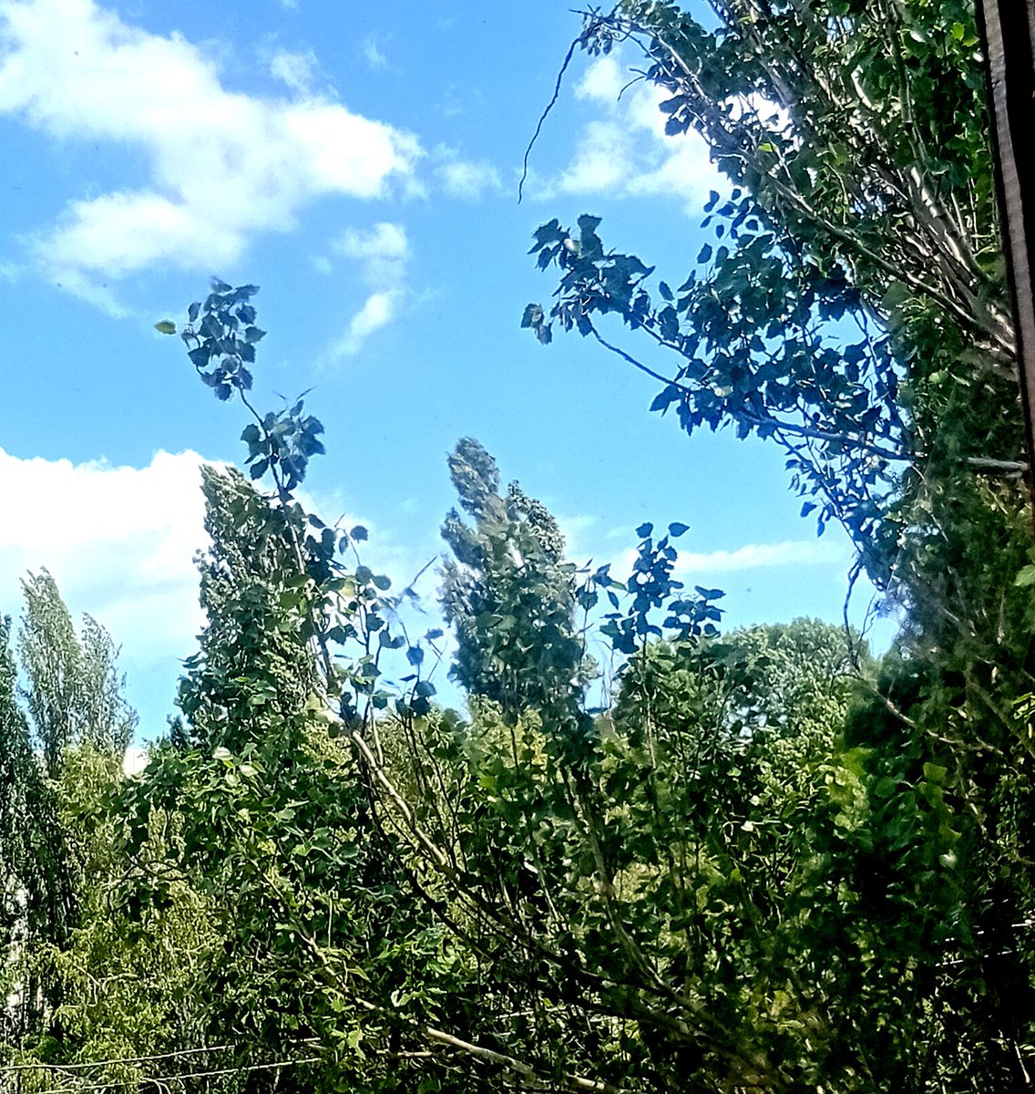 Катерина Галич tweet media