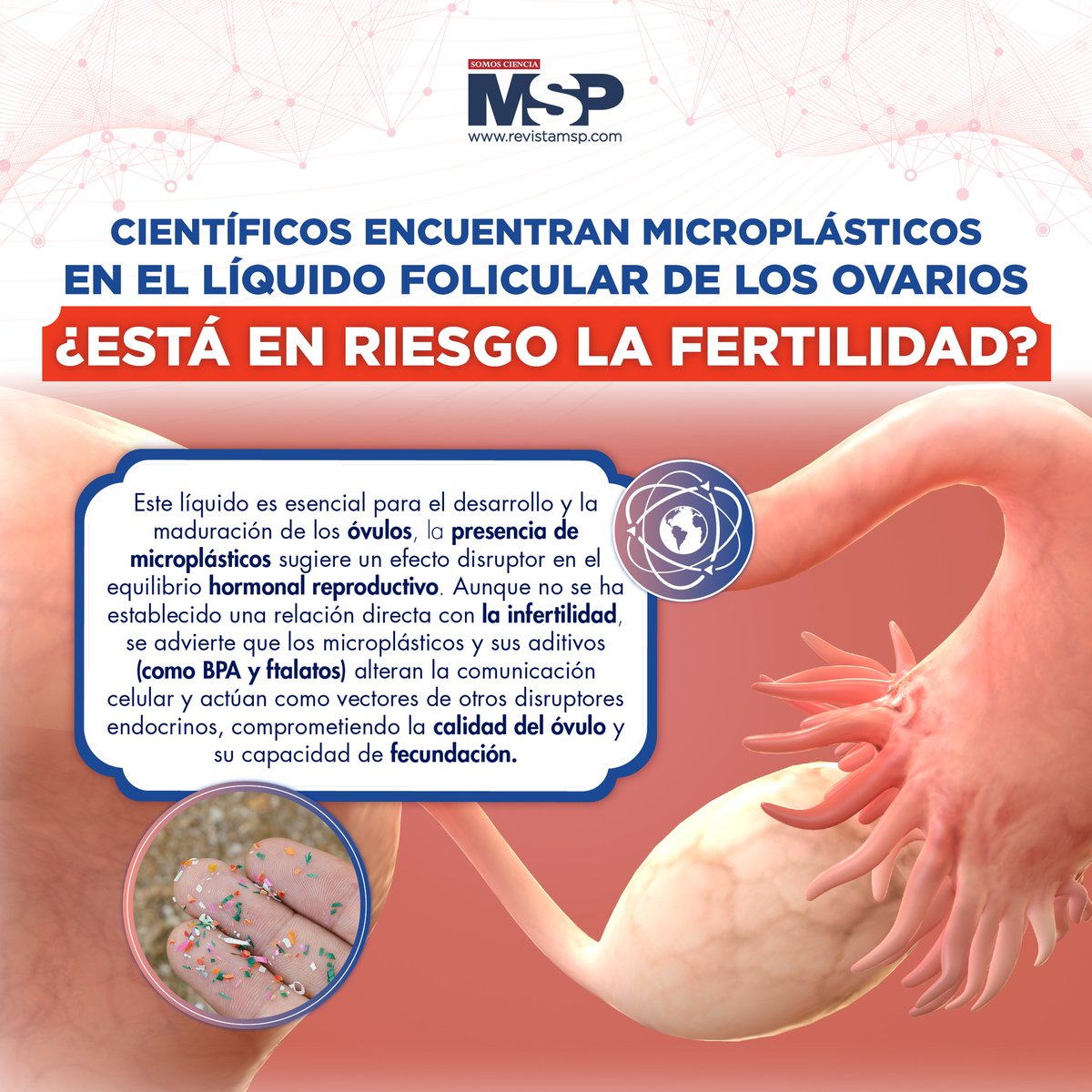 #MSPGinecología 🌸 Más detalles aquí: ow.ly/yPTY50VFT3E 

#MSP: El lugar donde médicos, profesionales de la salud y pacientes pueden entrar. #SomosCiencia

#MSPLíderesPioneros #MSPLegadoQueInspira