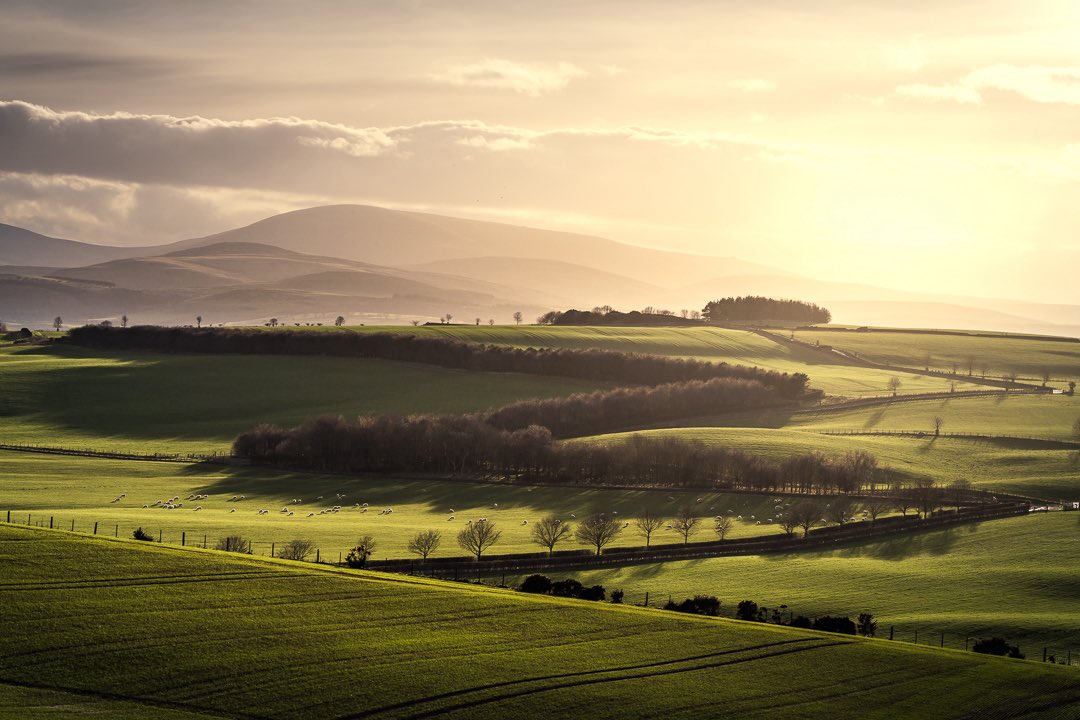 jimscottphoto's tweet image. Sunset.