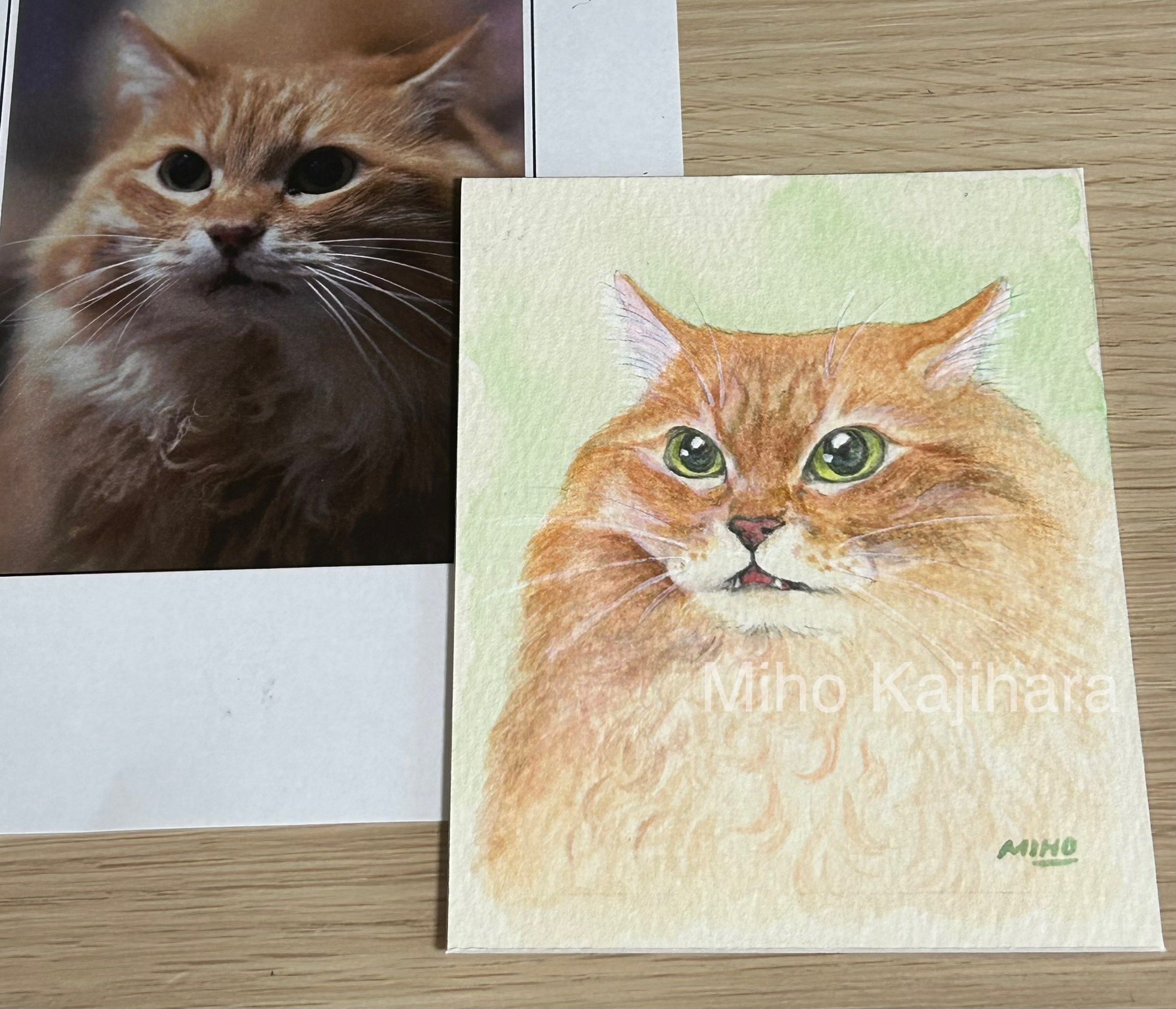 なまけ猫王国 – 猫作家・梶原美穂の公式サイト