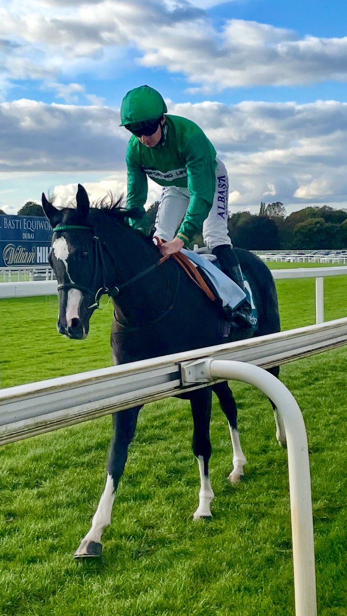 Thrilled to see the very gorgeous Apache Green back out today for his new yard. What a beauty 🥰