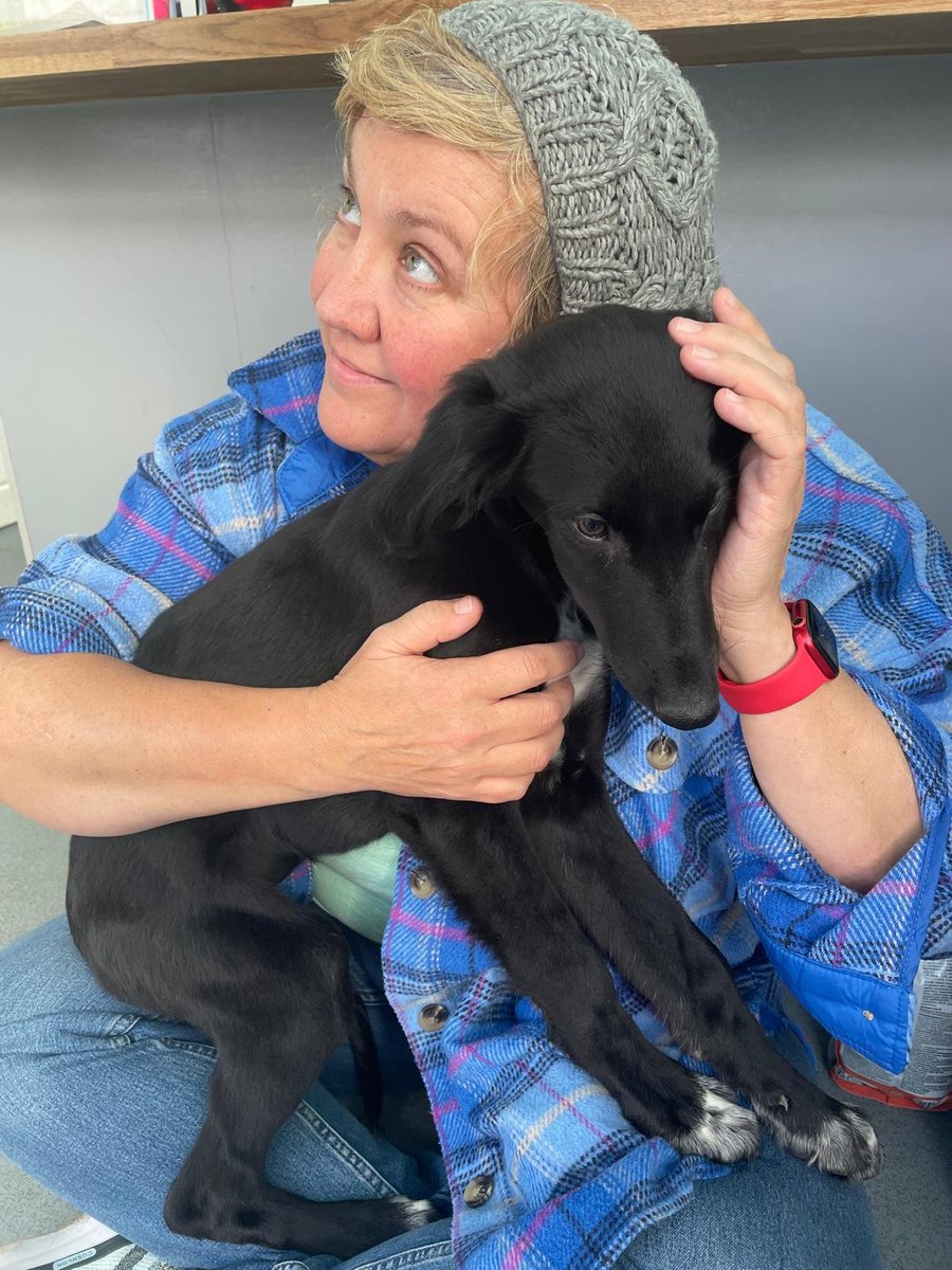 🔹 DFP Presenter Profile #7 – Nic Bowes

📍Tues, Day 1 – Castle Suite 2 @ 14:15

🎓 “An accidental forensic psychologist” who found their calling after youth work &amp; mature study.

🧠 Paper: Parole Board Members’ Views on Risk Formulation

💬 “Take what you can—and rest too!”