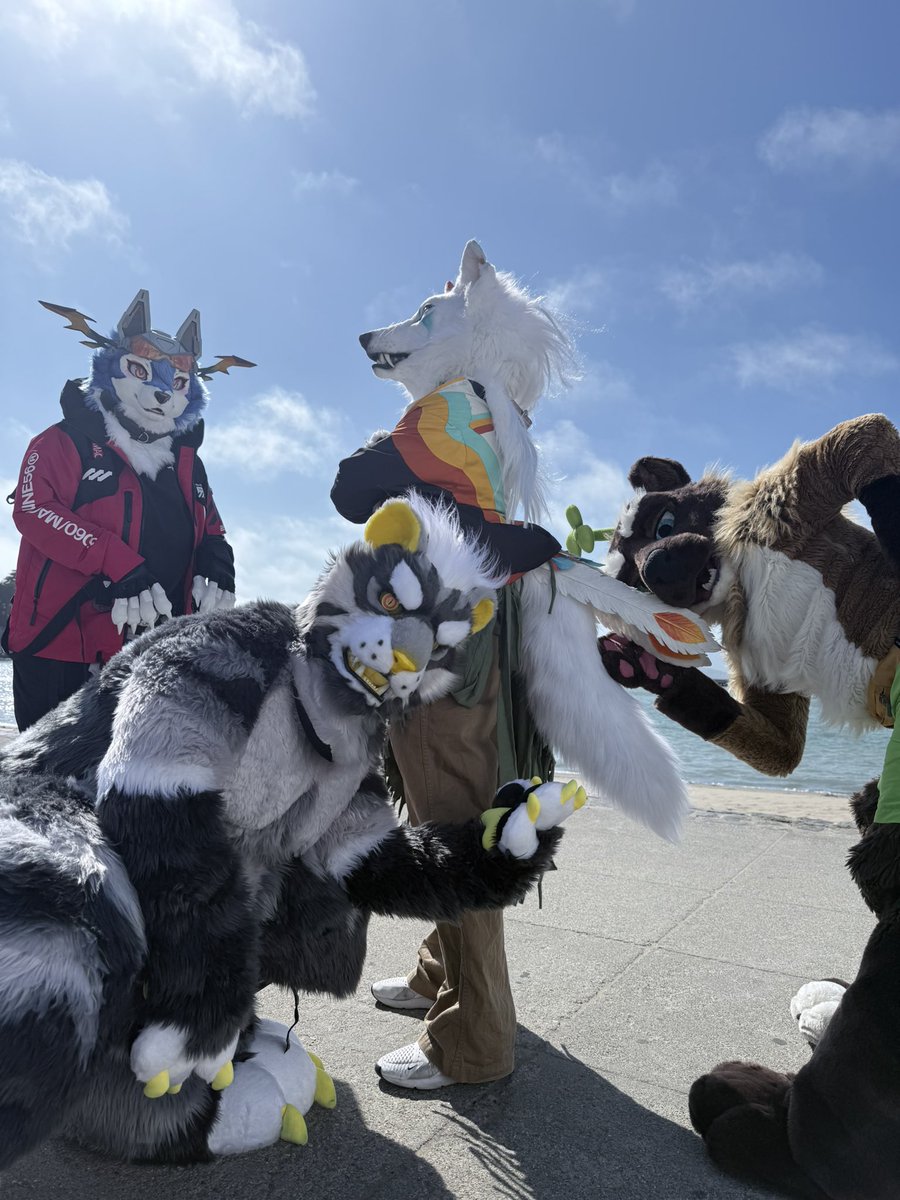 Zuo🐅 →LVFC (@tigerzuotiger) on Twitter photo Yay! Thanks everyone for coming to celebrate my birthday with me! 🥰🥰🥰😘
#fursuit #FursuitEverday
With <a href="/polycereal/">Polycereal.bsky.social | 杂粮</a> <a href="/Arylena_/">Ary | 迅风掠影</a> <a href="/Canis_Major_C/">✨CanisMajor ✨</a> 😚😚😚 Yay! Thanks everyone for coming to celebrate my birthday with me! 🥰🥰🥰😘
#fursuit #FursuitEverday
With <a href="/polycereal/">Polycereal.bsky.social | 杂粮</a> <a href="/Arylena_/">Ary | 迅风掠影</a> <a href="/Canis_Major_C/">✨CanisMajor ✨</a> 😚😚😚