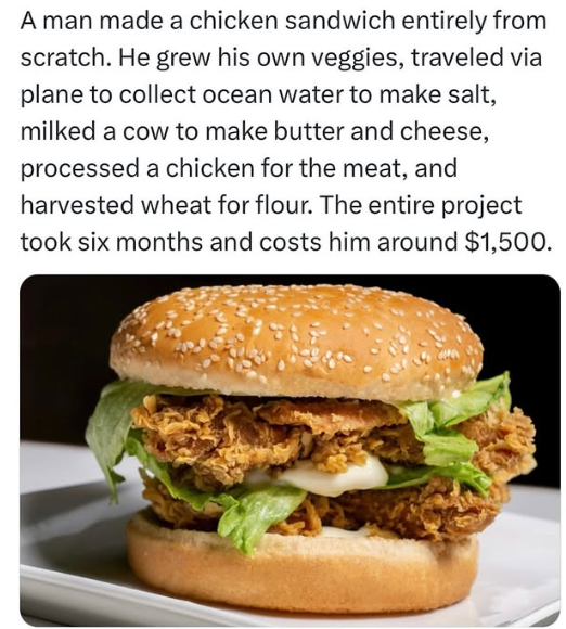 The goal was to illustrate how much effort and resources go into making something as seemingly simple as a sandwich, highlighting the complexity and convenience of modern food production.
