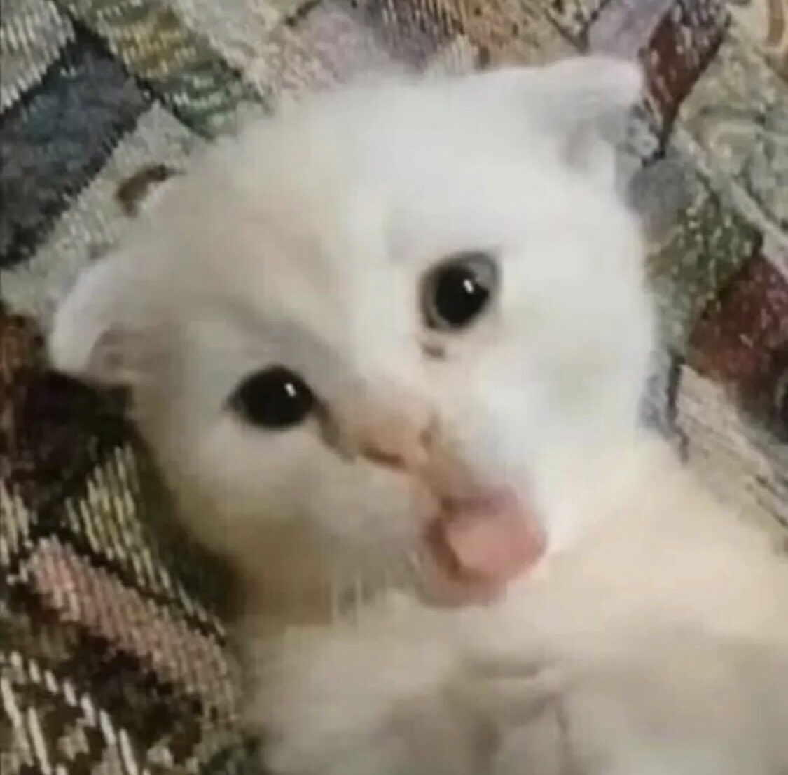 ตุวจิง หลังจากถ่ายรุปนี้เสด