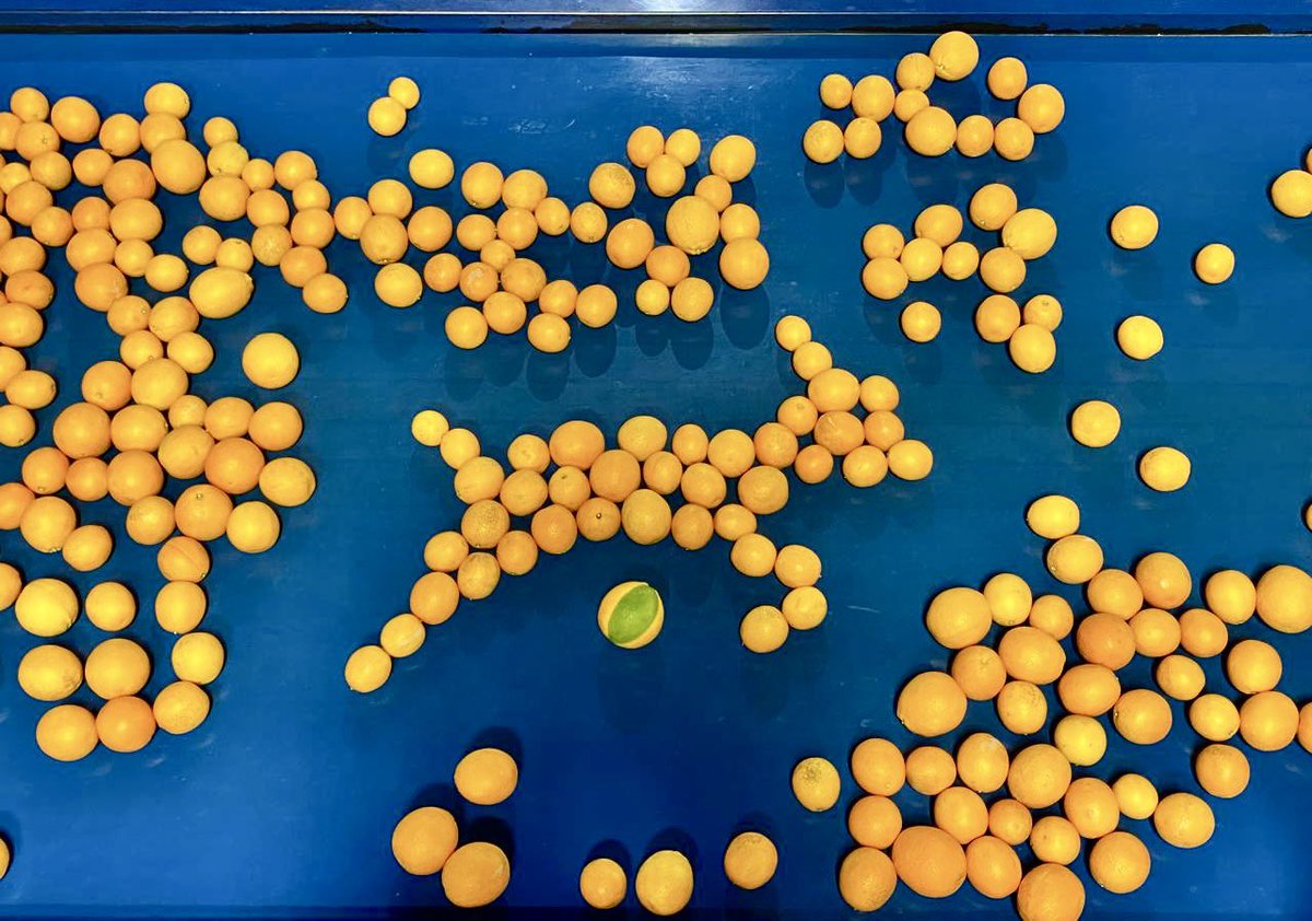 Schoonbee Landgoed tweet media