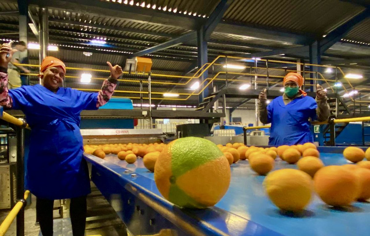 Schoonbee Landgoed tweet media