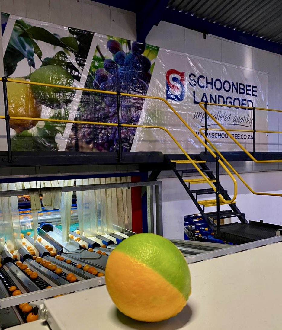 Schoonbee Landgoed tweet media