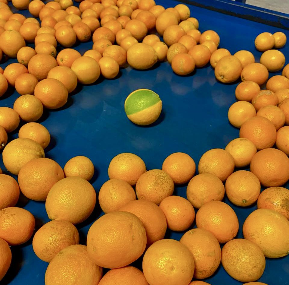 Schoonbee Landgoed tweet media