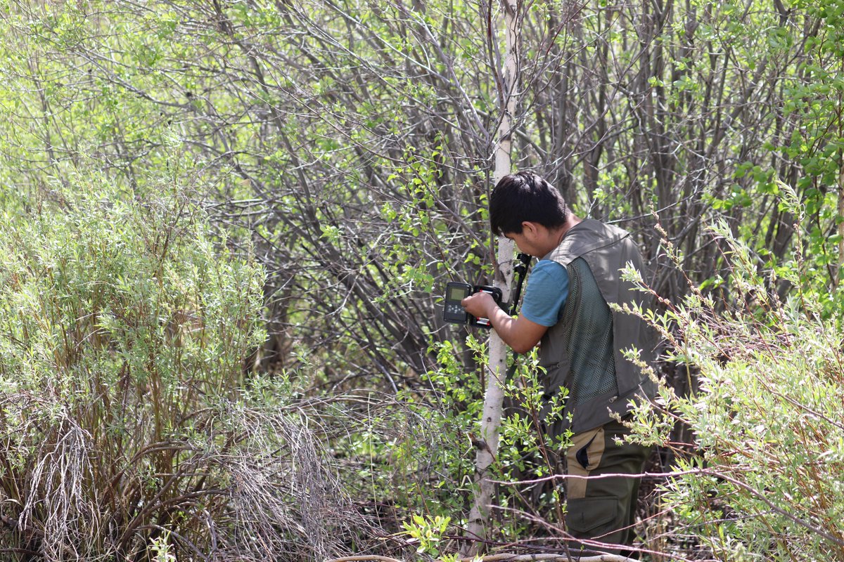 4 seasons of environmental baseline surveys are continuing at the Sarytogan #Graphite Project in Kazakhstan to meet the requirements of international banks, even though the environmental permit for the mine is already in place. #ASX $SGA
