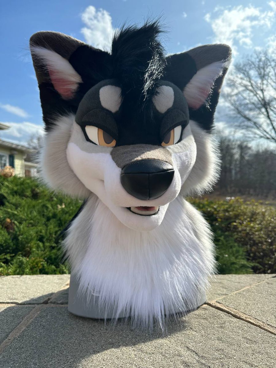 New #fursuit review:
[YES] Noir the Wolf by @giavenchi

Read it here:
fursuitreview.com/r/yes-noir-the…