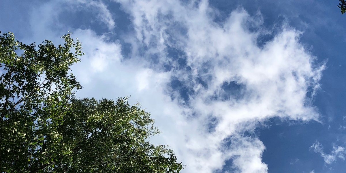 Hyvää, rauhoittavaa kesää! Mekin siirrymme  lomamoodiin ja palaamme jälleen elokuussa.

#pohjolanvoima #kesämieli