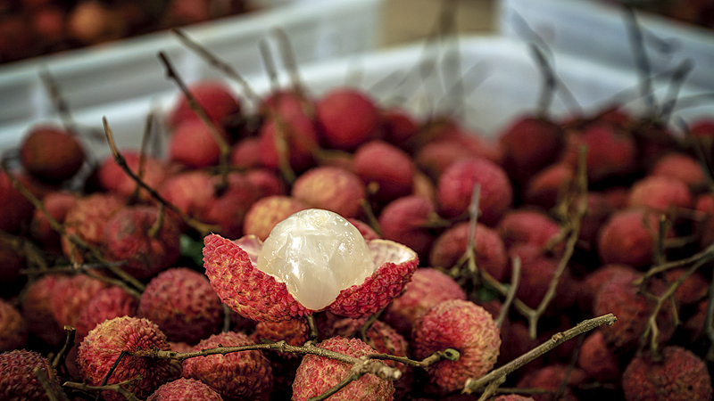 ChinaDaily's tweet image. While #China is going deep into summer, #Mexico enters the rainy season of the year. In breaks of showery days, crowds hit the streets for sunshine and a sweet fruit from China — #lychee.

For many visitors to Mexico, lychee is something they don't expect to see here. Meanwhile,
