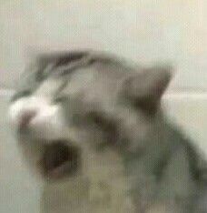SI TE ESTÁS INCORPORANDO A LA AUTOVÍA 
NOOOOOOO
TIENEEEEES
PRIORIDAAAAAAAAAAAAAAAAAAAAAAAAAAAAAAD