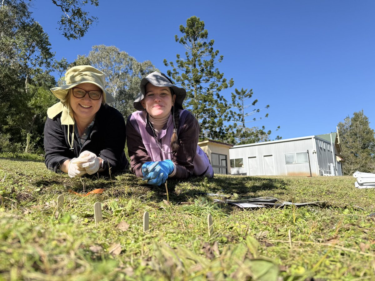 Ravensbourne field station is not only an active teaching space but also a site for important long-term global research 🧐 

Today our group was out in the field sampling for a worldwide project that will reveal global soil biodiversity patterns - what a day to be outside!🦠🧬