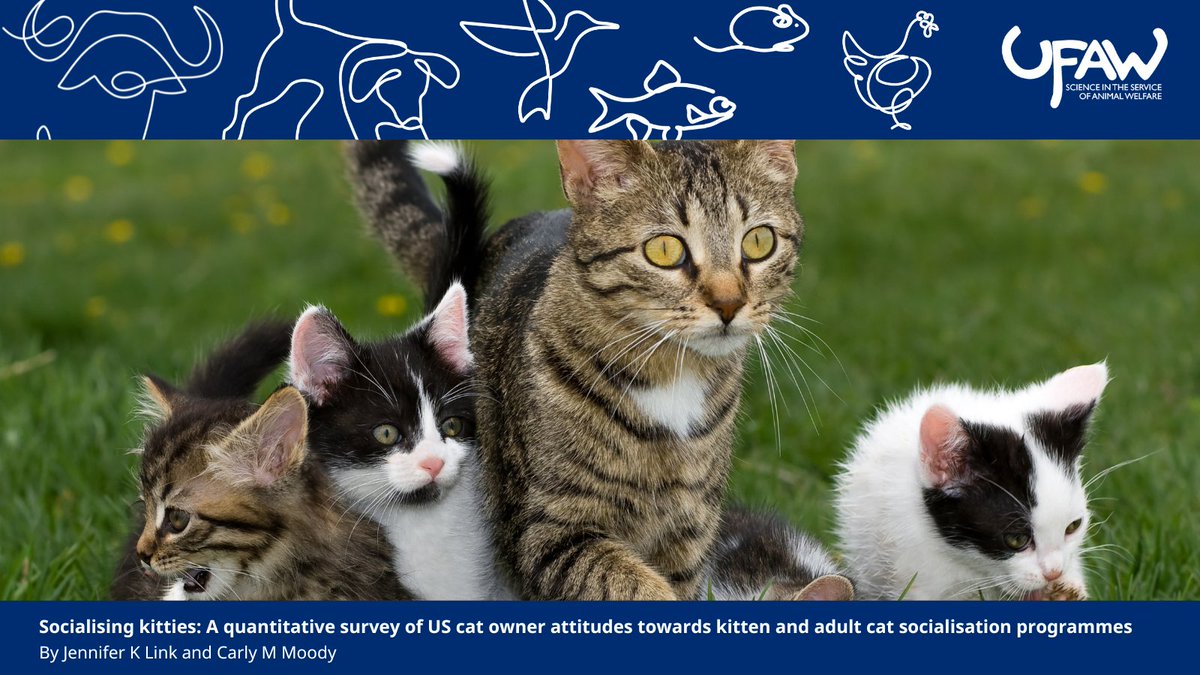 AW_TheJournal's tweet image. π NEW STUDY investigates which aspects of kitten socialisation are considered important by US cat owners.
π Read the full paper here: ow.ly/Wy4W50WgwSE
#AnimalWelfare #AnimalWelfareScience
