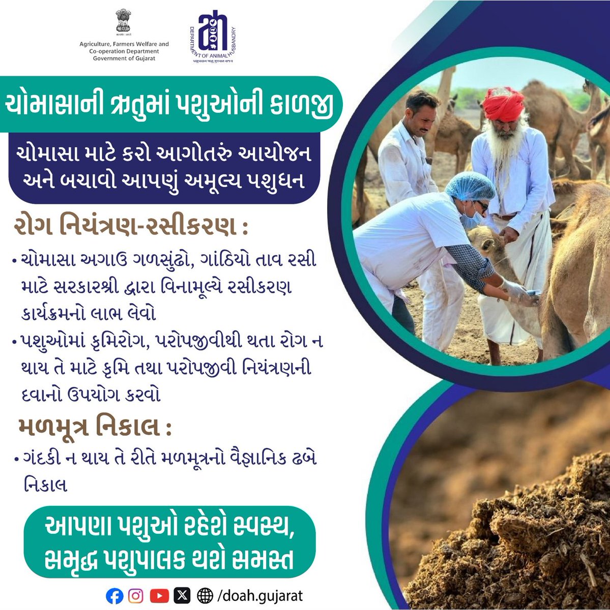 DoahGujarat's tweet photo. ચોમાસાની ઋતુમાં પશુઓની કાળજી
ચોમાસા માટે કરો આગોતરું આયોજન અને બચાવો આપણું અમૂલ્ય પશુધન 
#MonsoonAnimalCare
#LivestockHealth
#VaccinationAwareness
#FreeVaccinationDrive
#AnimalWellbeing
#ParasiteControl
#DewormingCare
#VeterinaryAwareness
#CleanAnimalShelter
#WasteManagement https://t.co/mDIpmVnXQX