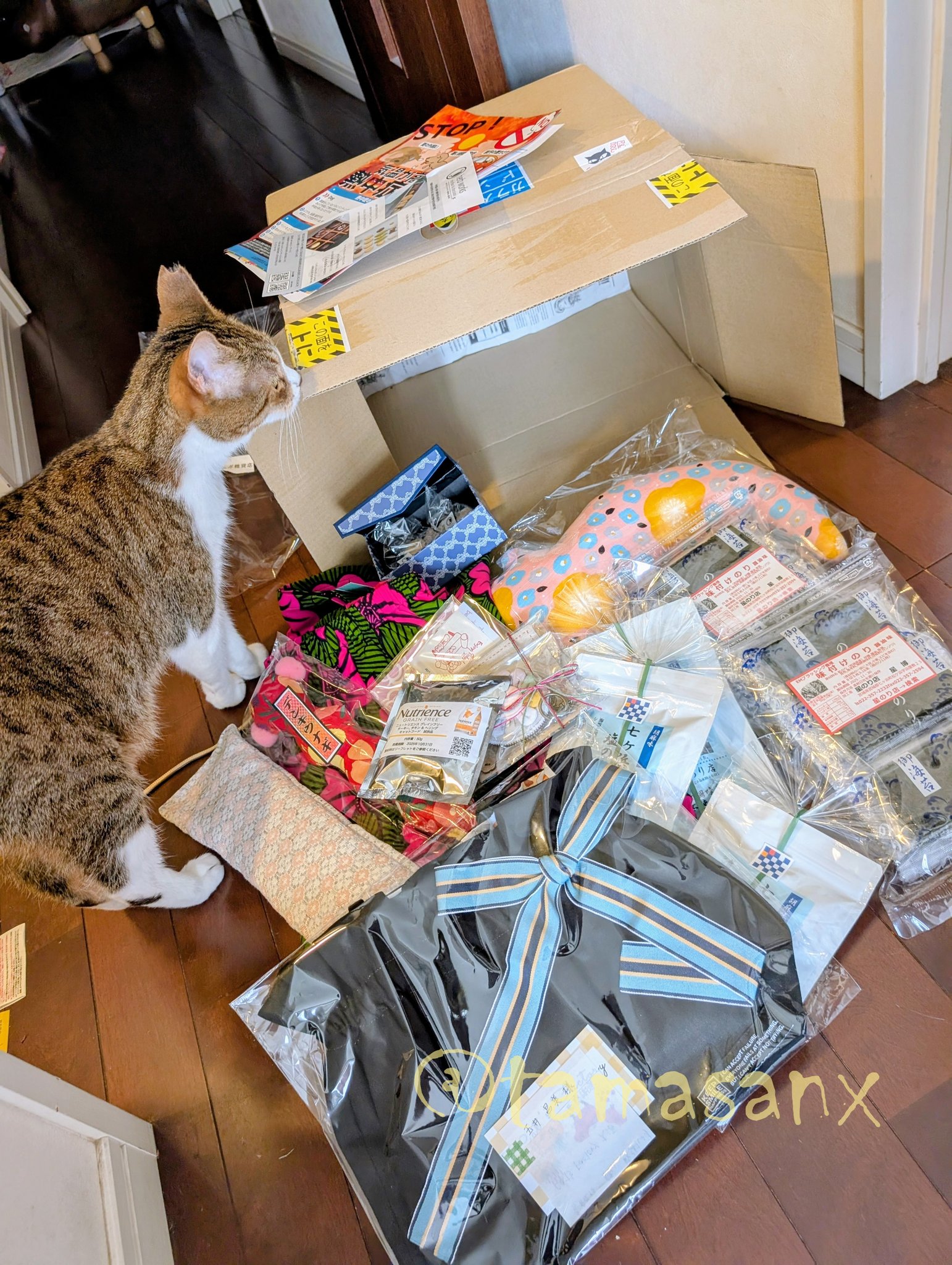 入荷中 たま on X:  その他