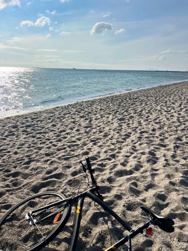 When my mind goes places I don’t want, I always use the sea to refocus. Water is my happy place.

Even when the water in Copenhagen is 14C (57F for my countrymen) at 6am 🥶and you’re surrounded by a bunch of naked older men doing deep squats on the pier 🫣