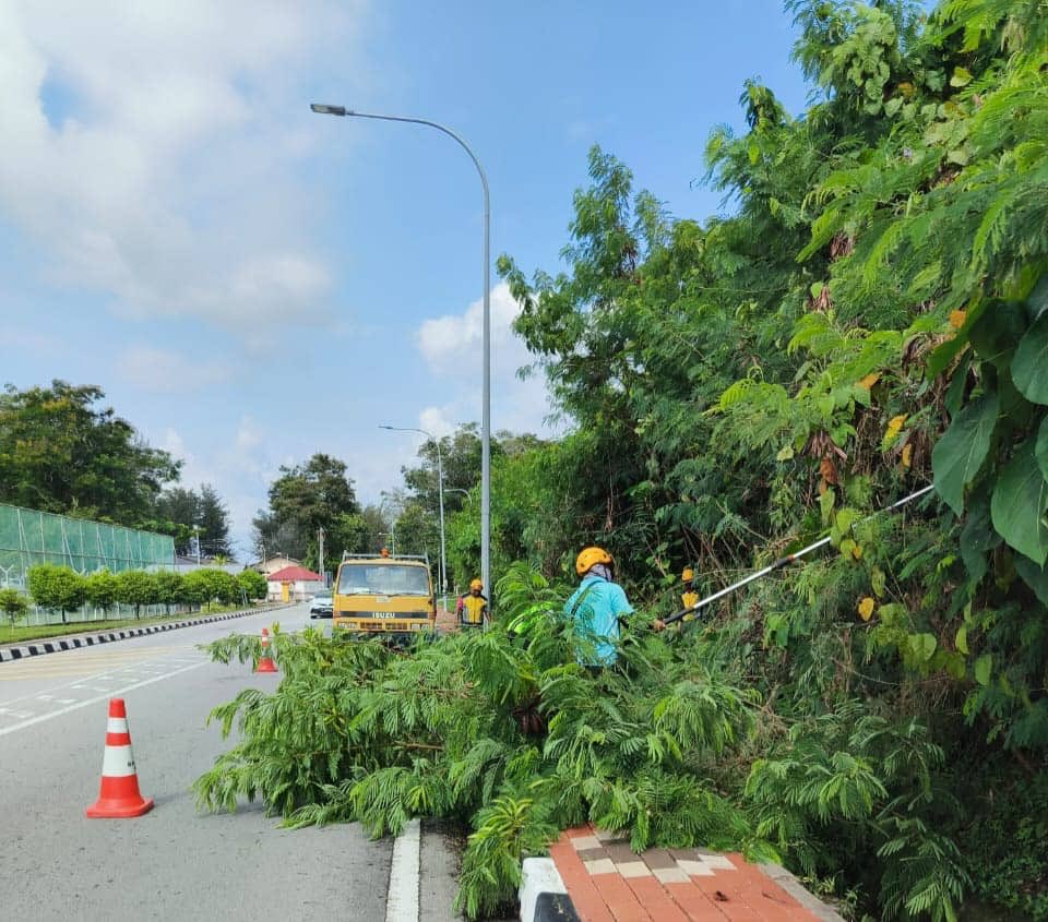 JKR Labuan (@jkrlabuan) on Twitter photo Kerja-kerja mencantas dahan pokok secara Jabatan bagi menambahbaik jarak penglihatan pemandu dan meningkatkan keselamatan pengguna jalan raya di Jalan Tanjong Batu - Tanjong Purun (L709)
<a href="/RoslanisE/">Roslan bin Ismail</a>
<a href="/TKPKR_Infra/">TKPKR (Sektor Infra)</a>
<a href="/Shahrom_007/">Mohd Shahrom</a>
<a href="/IPJKR_Official/">JKR Malaysia Rasmi</a> Kerja-kerja mencantas dahan pokok secara Jabatan bagi menambahbaik jarak penglihatan pemandu dan meningkatkan keselamatan pengguna jalan raya di Jalan Tanjong Batu - Tanjong Purun (L709)
<a href="/RoslanisE/">Roslan bin Ismail</a>
<a href="/TKPKR_Infra/">TKPKR (Sektor Infra)</a>
<a href="/Shahrom_007/">Mohd Shahrom</a>
<a href="/IPJKR_Official/">JKR Malaysia Rasmi</a>