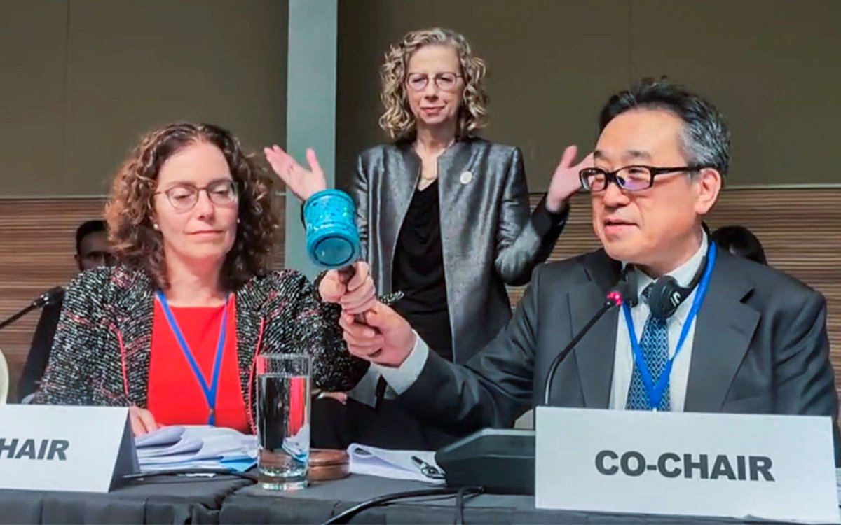 We witnessed another historic moment this week with the foundation of the Intergovernmental Science-Policy Panel on Chemicals, Waste and Pollution. This body joins <a href="/IPCC_CH/">IPCC</a> and <a href="/IPBES/">ipbes</a> in providing the highest level of policy-relevant scientific advice. 

Congratulations to all