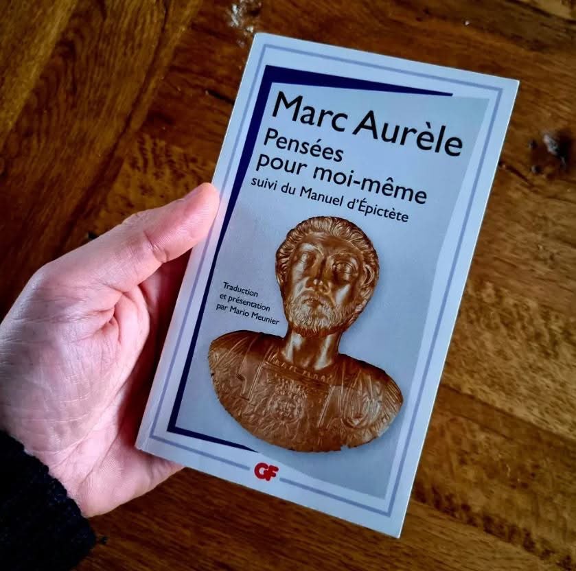 "Mon Dieu, donnez-moi la sérénité d'accepter les choses que je ne peux pas changer, le courage de changer celles que je peux changer et la sagesse de distinguer les premières des secondes."
Marc-Aurèle