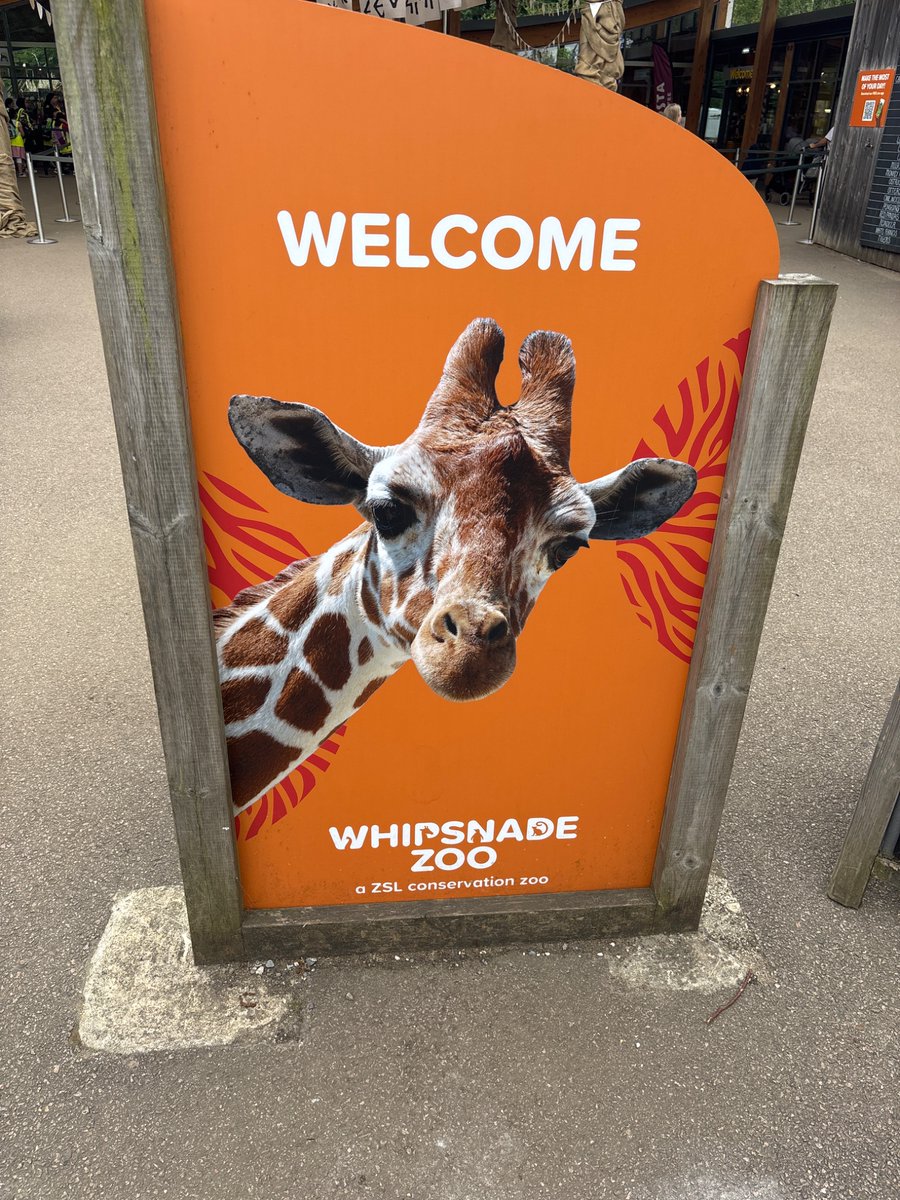 Year One and Year Three have made it to the zoo! Fun times ahead!