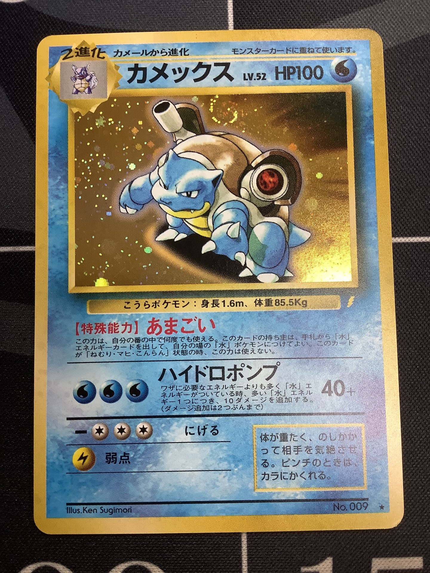 注目 カメックス_「とりかえっこプリーズ」 キャンペーンカード
