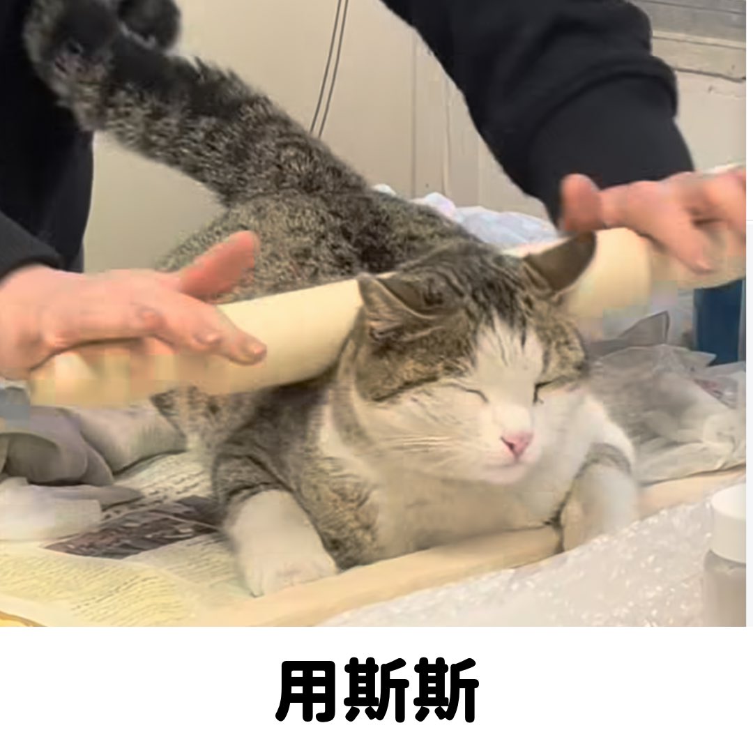 新細敏體 (@usamintears) on Twitter photo 