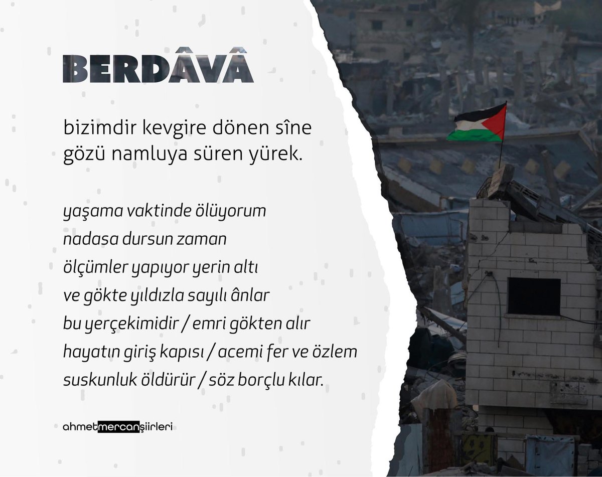 Av. Gönül YILDIZ (@avgonulyildiz) on Twitter photo 