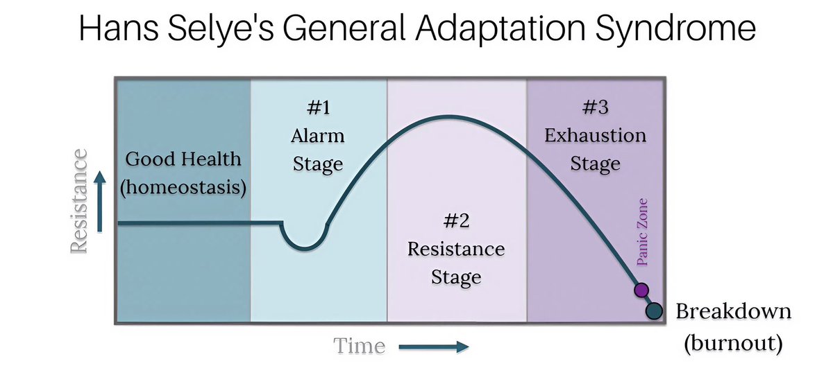 Omidamanii's tweet image. 💭 چرا بعد از تموم شدن بحران حال‌مون بدتر میشه!؟

📌 هانس سلیه از بزرگان حوزه استرس میگه وقتی بحران، فشار یا مصیبتی میاد بدن سه مرحله رو پشت سر میذاره. مرحله اول هشداره، تو این مرحله بدن میره تو فاز بقا و با ترشح کورتیزول و آدرنالین فرد رو آماده مقابله با تهدید می‌کنه...